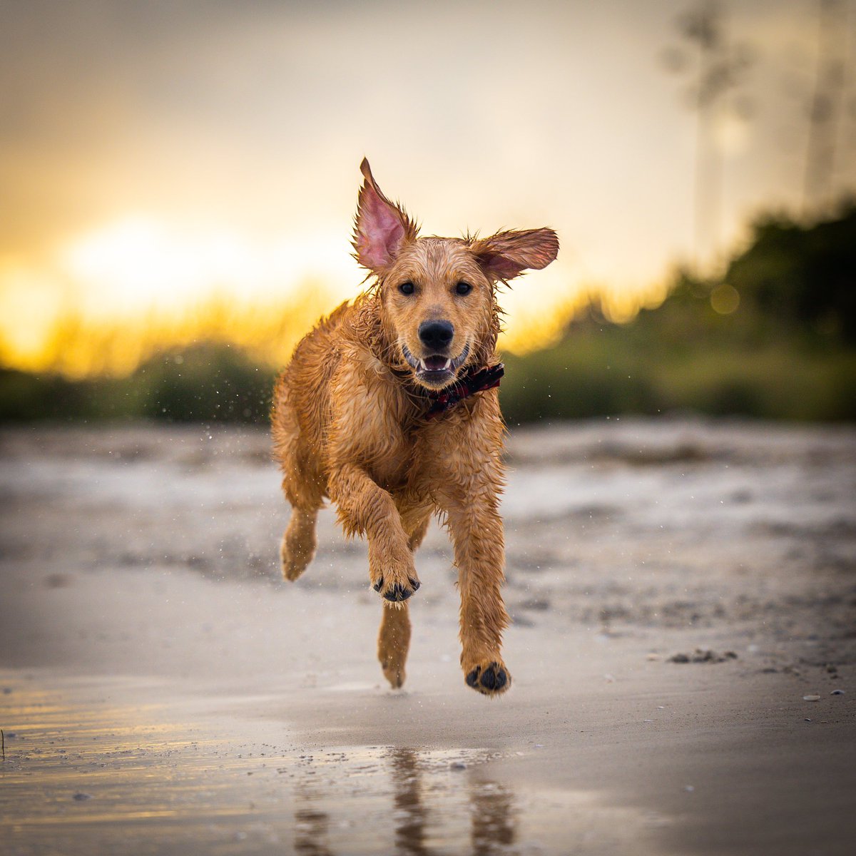 Otis. He’s a speedy fella. Brings good energy to the field each and every day.