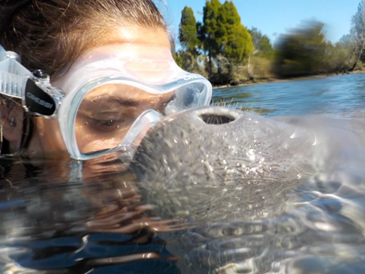 oldtowncycle's tweet photo. Meet the Old Town Cycle Cruise crew: Antonia, First Mate.
.
Despite jumping between eight different states growing up and traveling overseas often, Florida is her home and she knows it well! Antonia loves the water and all things nature-related. She has spent significant time ad https://t.co/kr55v9uHoI