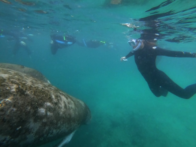 oldtowncycle's tweet photo. Meet the Old Town Cycle Cruise crew: Antonia, First Mate.
.
Despite jumping between eight different states growing up and traveling overseas often, Florida is her home and she knows it well! Antonia loves the water and all things nature-related. She has spent significant time ad https://t.co/kr55v9uHoI