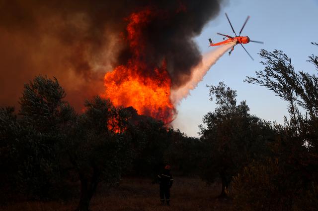 SirenesFR's tweet photo. 🇬🇷[FLASH] - Violent feu de #forêt près du village balnéaire de #Kechries, dans l'est du #Peloponnese en #Grèce. Des centaines de pompiers combattent le #feu qui menace des habitations. (Reuters) https://t.co/xYEUTWLqwC