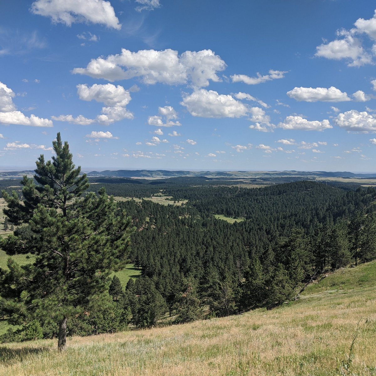 Episode 0108 - Lightning Round 1, is now available!