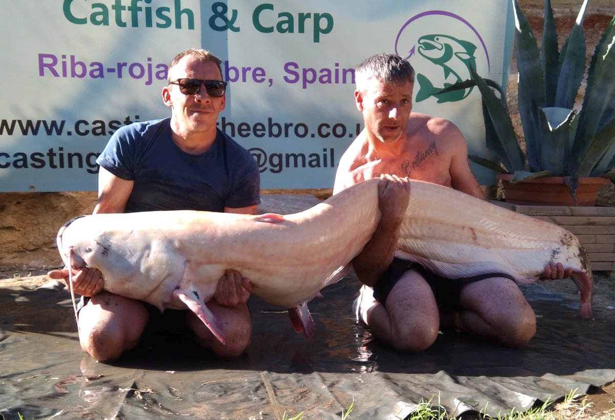 castingonebro's tweet photo. Check out our facebook page for our latest deals and get away from it all https://t.co/lGEeRrbYys
#castingontheebro #rivercarp #catfish #ribarojadebre #riverebro #wildcarp #spain #gardenswims #100lbplus  
#madarin #mandarincatfish https://t.co/X6j8xsttbH