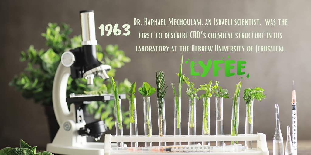 lyfee_educator's tweet photo. How about some History on this beautiful Wednesday 💚

#CBD #NATURALHEALTH #giveabundantly #fulltransparency #onelife #onelyfee #alwaysbepositive #positivity #History #CBN https://t.co/U5IPvdhgRf