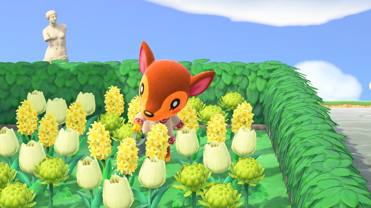 acnhsupplier's tweet photo. #AnimalCrossing #ACNH #NintendoSwitch https://t.co/DK7zsvWki4