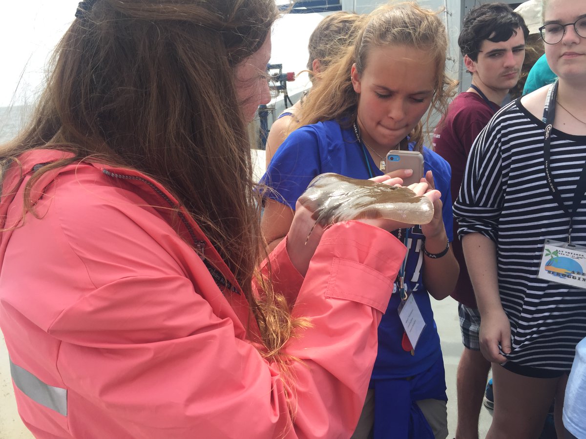 disealab's tweet photo. There's a few spots left in our final camp of the summer. The Bay Voyager Camp is great for rising 9th through 12th graders who have a love for the environment. https://t.co/tUZIl9u2OQ #dislexperience #disldhp https://t.co/RL8Mdl5lbY