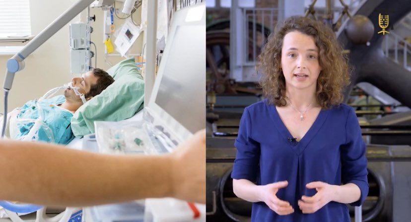 Marine Van Hollebeke tweet media