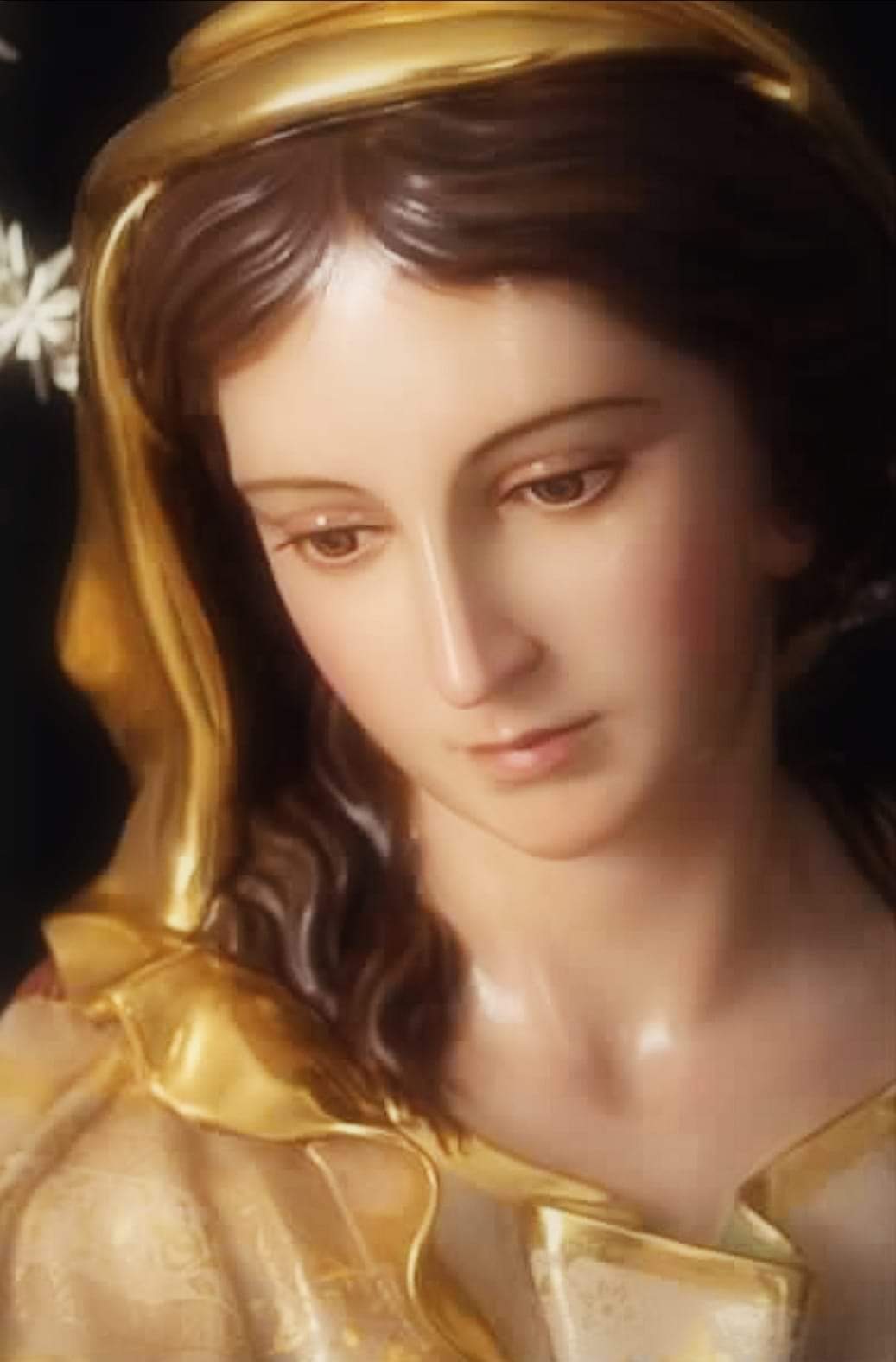 Luisa Lombardi Buonanotte Madonnina Mia Tu Sei La Madre Di Gesu E Mamma Mia Immacolata Concezione Dammi La Tua Santa Materna Benedizione E Fa Che Questa Benedizione Discenda Sui Sofferenti Su Di Me Sulla Mia Famiglia E