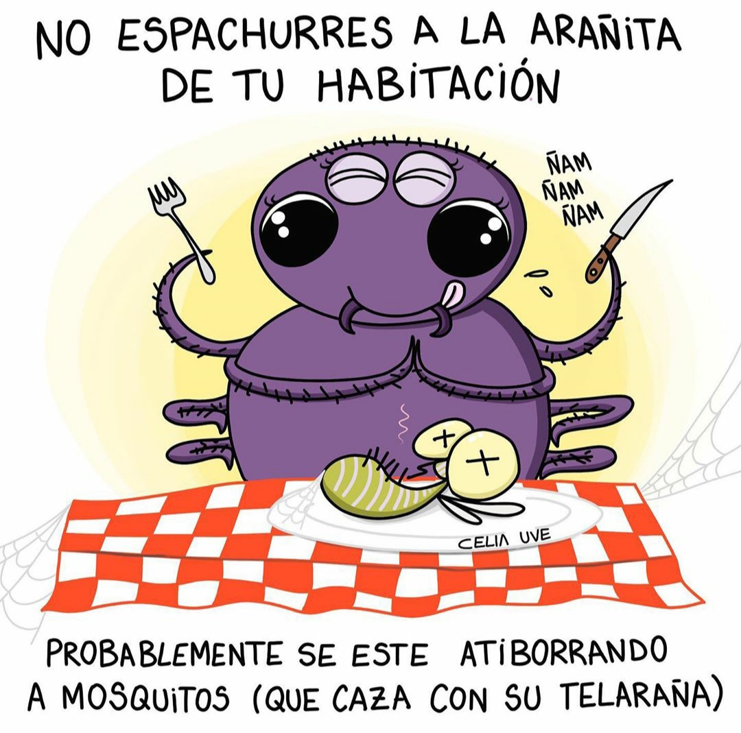 MujeresNomadas's tweet photo. Cuidado con las arañitas que en el fondo nos están haciendo un favor 😉

Ilustración de @celiauve 💜 https://t.co/4iO6qbyTmZ