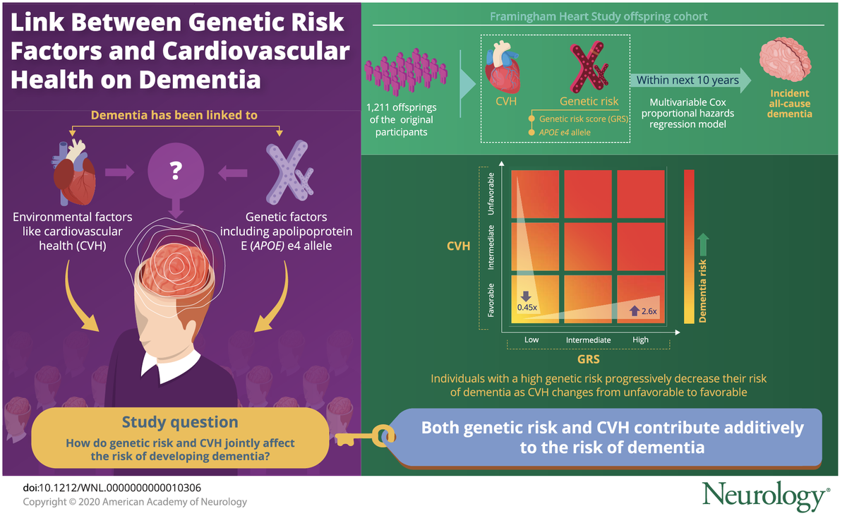 Sudha Seshadri, MD (@sudha_md) on Twitter photo In 1211 <a href="/FraminghamStudy/">Framingham Heart Study</a> Offspring participants having a favorable cardiovascular profile showed a 0.45-fold lower risk of dementia
(95% CI 0.20–1.01; p = 0.052) whether genetic risk was low or high! Genetics is not destiny #Gina_Peloso <a href="/UTHealthSA/">UT Health San Antonio</a> <a href="/BUMedicine/">Boston U Chobanian & Avedisian School of Medicine</a> <a href="/alzassociation/">Alzheimer's Association</a> In 1211 <a href="/FraminghamStudy/">Framingham Heart Study</a> Offspring participants having a favorable cardiovascular profile showed a 0.45-fold lower risk of dementia
(95% CI 0.20–1.01; p = 0.052) whether genetic risk was low or high! Genetics is not destiny #Gina_Peloso <a href="/UTHealthSA/">UT Health San Antonio</a> <a href="/BUMedicine/">Boston U Chobanian & Avedisian School of Medicine</a> <a href="/alzassociation/">Alzheimer's Association</a>