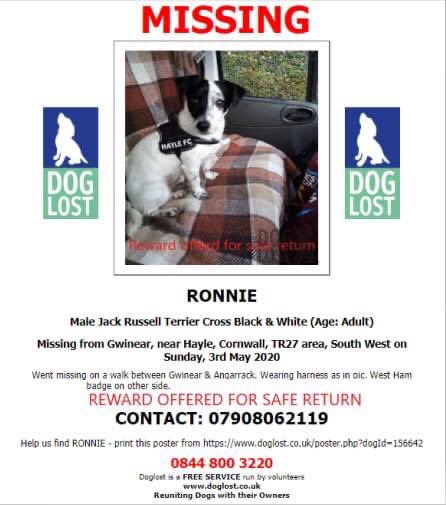 rosiedoc666's tweet photo. RONNIE #missing on the 3/5/20 on walk between #Gwinear & #Angarrack nr #Hayle west #Cornwall. Wearing harness
It is possible that he went to ground Male #JRT X Neutered
Ronnie's owner is 💔
** REWARD OFFERED FOR SAFE RETURN **
https://t.co/pdi0zD9YB3
@TuffenuffDobes1 @bs2510 https://t.co/07OmU25FIW