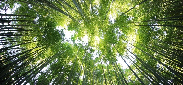 creativedlab's tweet photo. #CDLClimate will support early-stage start-ups that are developing solutions to the challenges posed by climate change, at #CDLParis and #CDLWest.
https://t.co/shUXgxM74O https://t.co/wf9nOWbrem