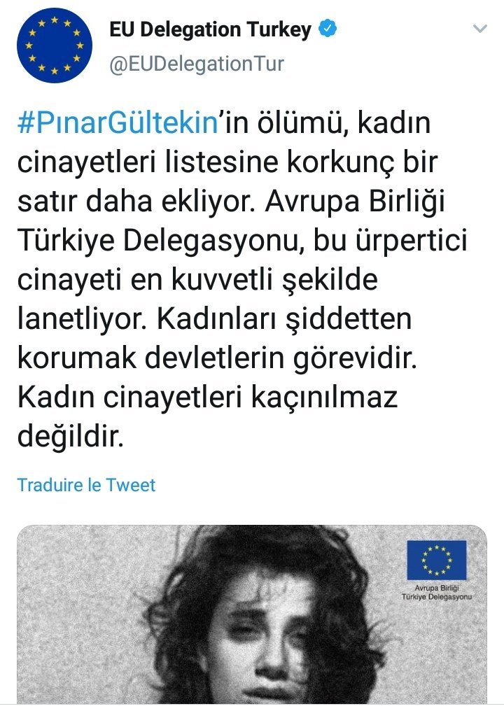 dd_grubu's tweet photo. Tecavüz ve cinsel tacizde dünya şampiyonu ülkelerin çoğu Avrupalı ama AB Türkiye delegasyonu utanmadan bize akıl vermeye kalkıyor. https://t.co/G7A7i3zEes