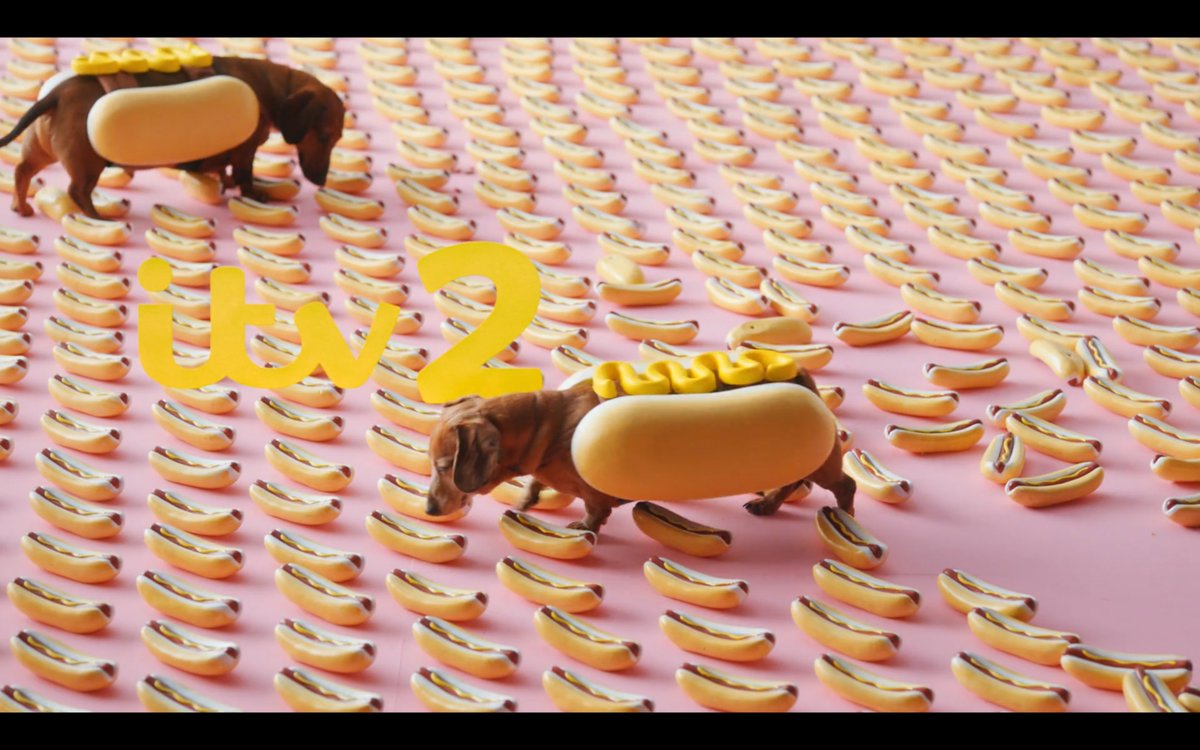 Hot Dogs
