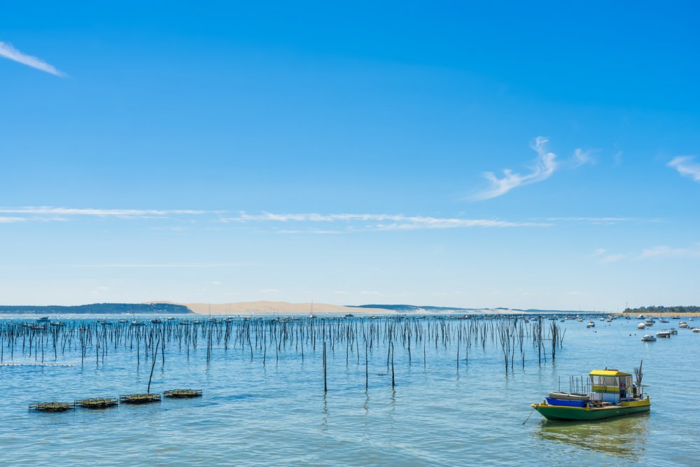 FlyttAgency's tweet photo. #JeudiPhoto : Connu pour ses dunes, le bassin d'#Arcachon est aussi un magnifique endroit qui ressemble à s'y méprendre à une #mer intérieure avec sa fameuse #île aux #oiseaux !

Prépare dès maintenant tes #vacances avec Flytt !

#CetEteJeVisiteLaFrance #EnFranceAussi #Tourisme https://t.co/ikl9JFME74