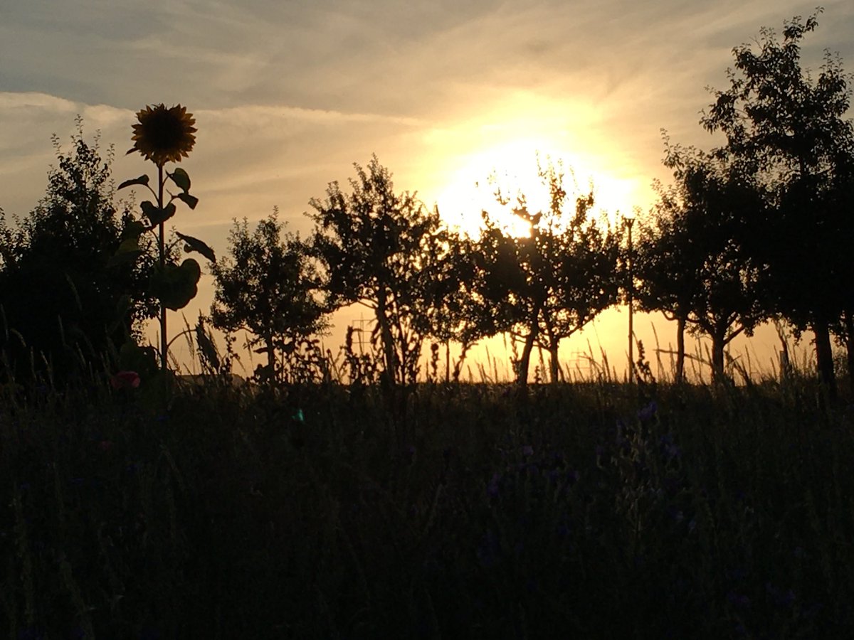 ZahnarztLudwig's tweet photo. Heute auf dem #Nachhauseweg kurz am #Strassenrand aufgenommen. #sonnenuntergang #sunset #natur naturephotography #sonne #abendstimmung #sunsetlover #naturfotografie https://t.co/v2yOqpl7sK