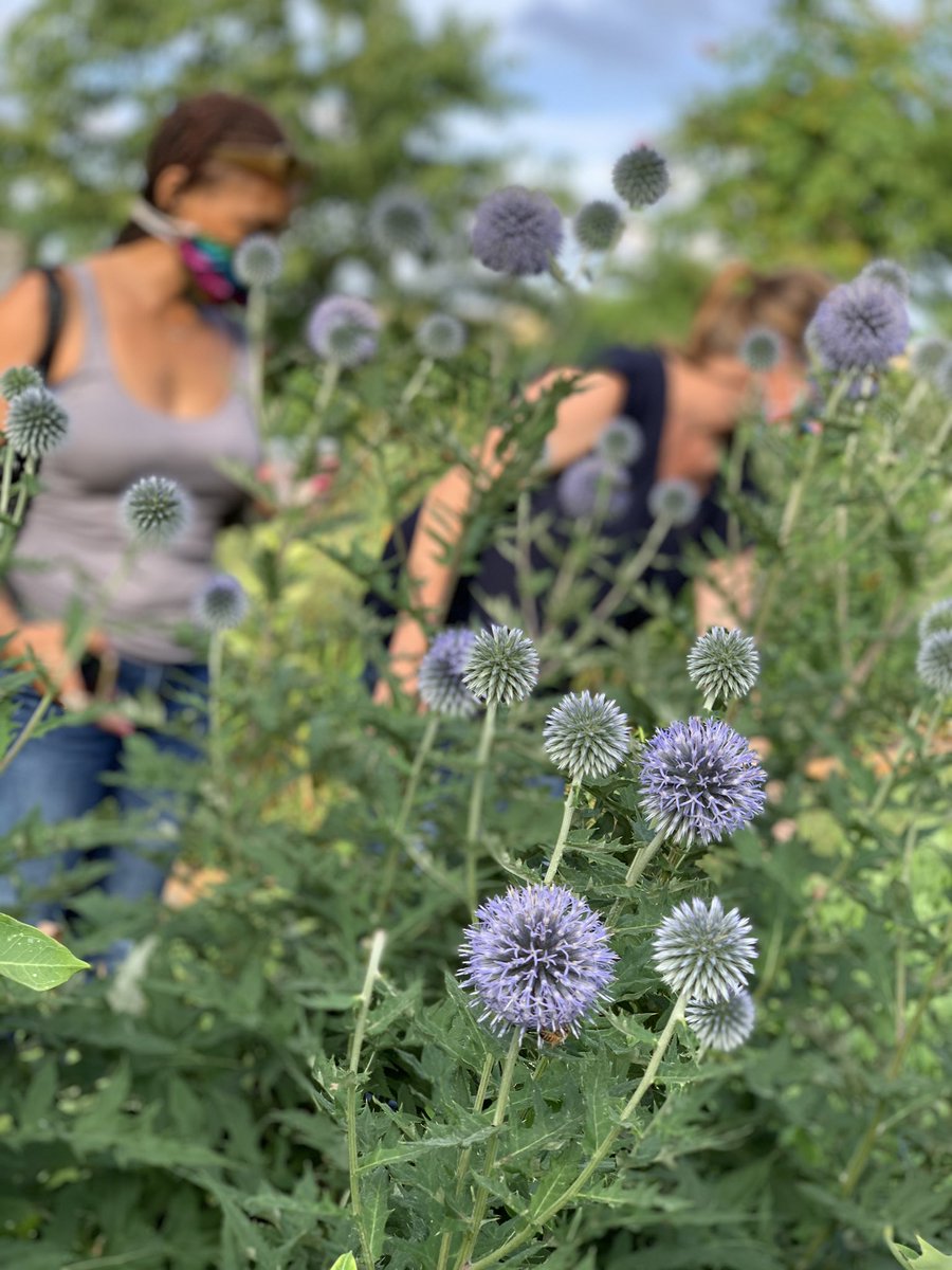 HackettCongress's tweet photo. Wonderful things are happening in our district that evidence Hoosier hospitality in improving public health and well-being through healthy food and educational programs “designed to connect people to our natural world and each other.”
Thank you #UnityGardens! #IN02 https://t.co/AUa1DEMYuu
