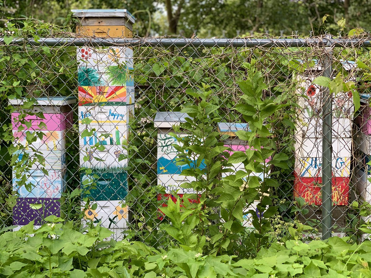 HackettCongress's tweet photo. Wonderful things are happening in our district that evidence Hoosier hospitality in improving public health and well-being through healthy food and educational programs “designed to connect people to our natural world and each other.”
Thank you #UnityGardens! #IN02 https://t.co/AUa1DEMYuu