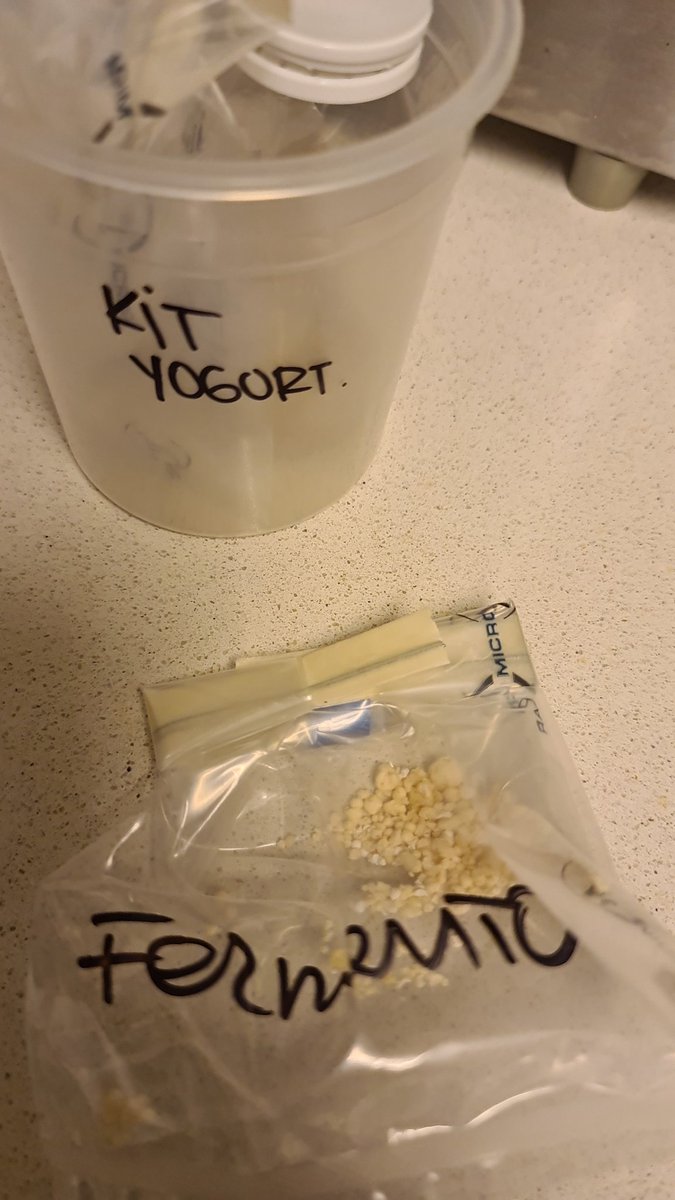 Familia Beaudroit Yogurt Artesanal tweet media