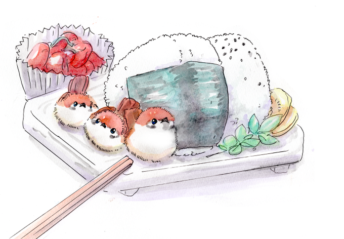 「お弁当 寿司」のTwitter画像/イラスト(人気順)