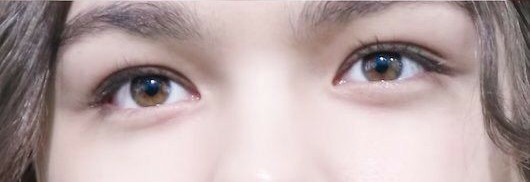 Tip no.7Appreciate Vernon's hazel/light brown eyes