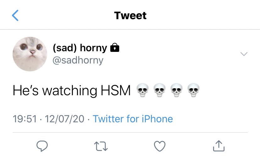 080. HSM 1? Not on ty’s household