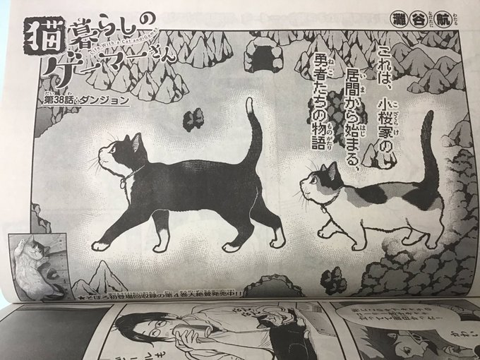 灘谷航 猫暮らしのゲーマーさん 巻5 18日発売 S Recent Tweets 13 Whotwi Graphical Twitter Analysis 灘谷航 猫暮らしのゲーマーさん 巻5 18日発売 S Recent Tweets 13 Whotwi Graphical Twitter Analysis