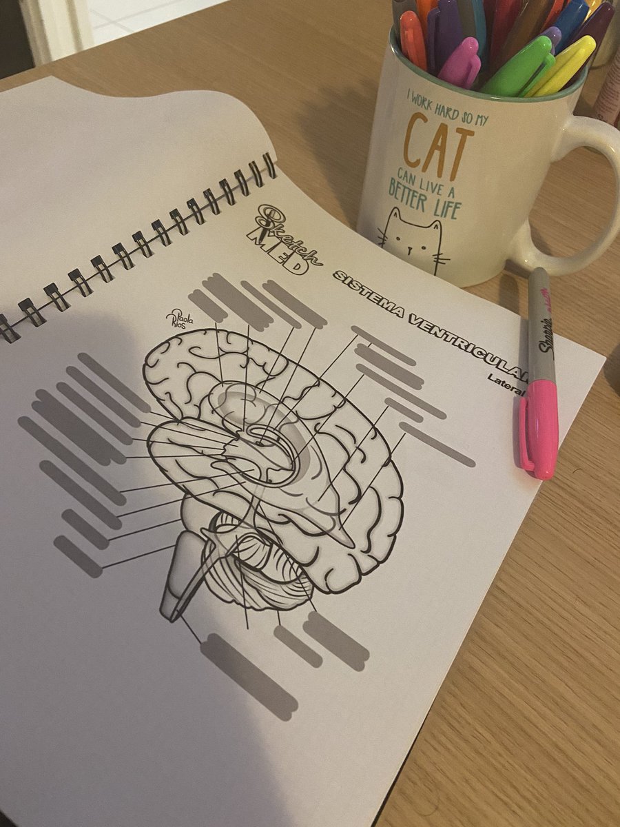 Hoy estamos agotados, pero, en estos días, nos ponemos al día con el autodidactismo y los libros divinos de Sketch Med. 👩🏻‍⚕️ Muy recomendados para traductores médicos como forma divertida y creativa de estudiar.