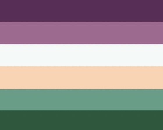 Our absolute favorite is our gender flag: Sylvanae!Favorite sexuality flag is the lesbian flag by apersnicketylemon from tumblrfavorite aspec flag is the aspec Autistic flag by @/autisticaspecThere’s so many good flags ahh  https://twitter.com/iamspiderbro/status/1285783013285072896