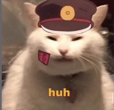 When Asian People Try to see