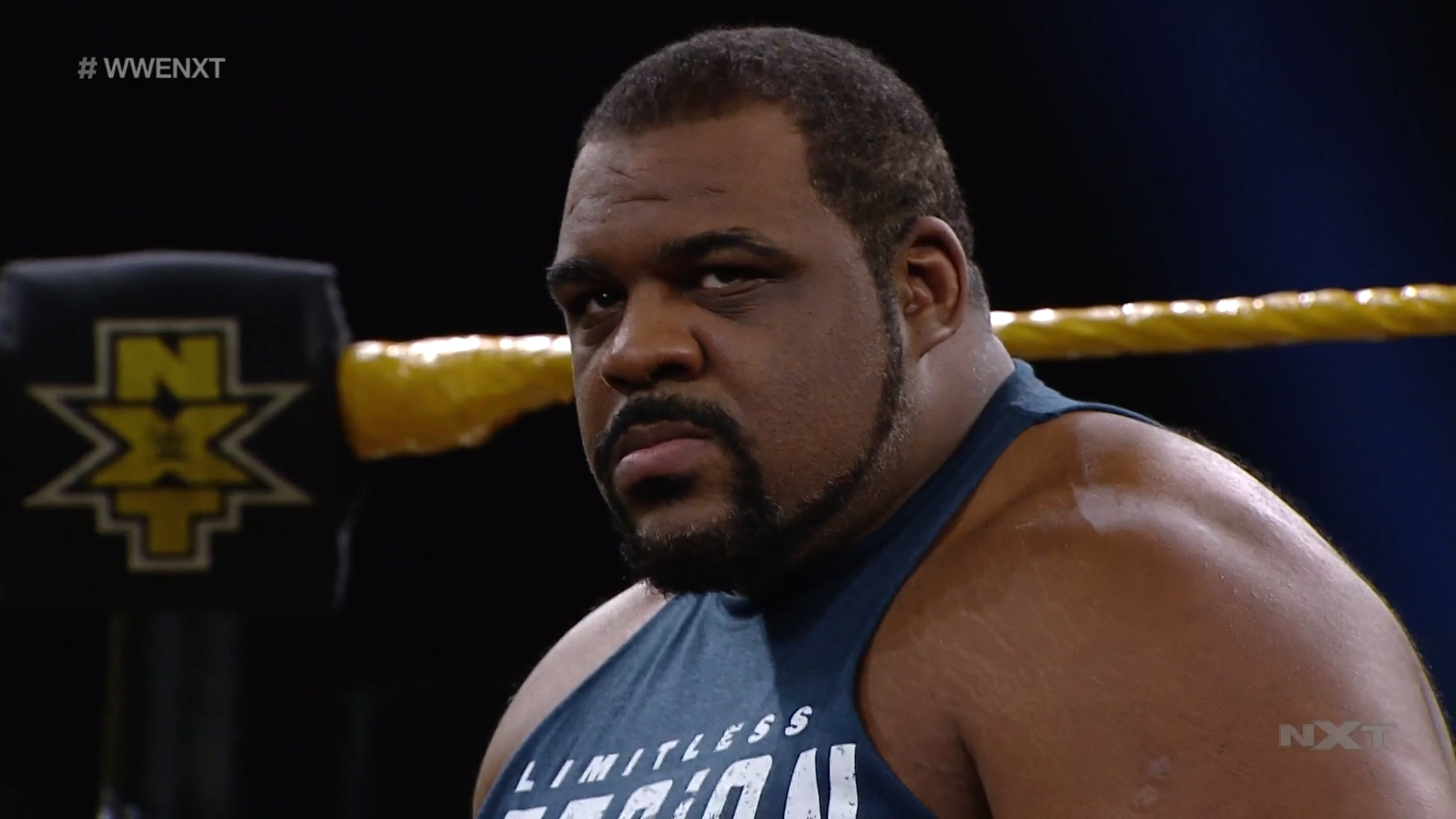 WWE NXT: TakeOver XXX Announced At Summerslam Weekend 2