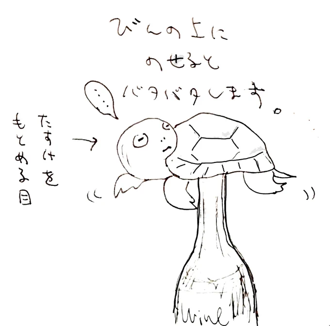 足が短いからね ???

#クサガメ #かめ太 