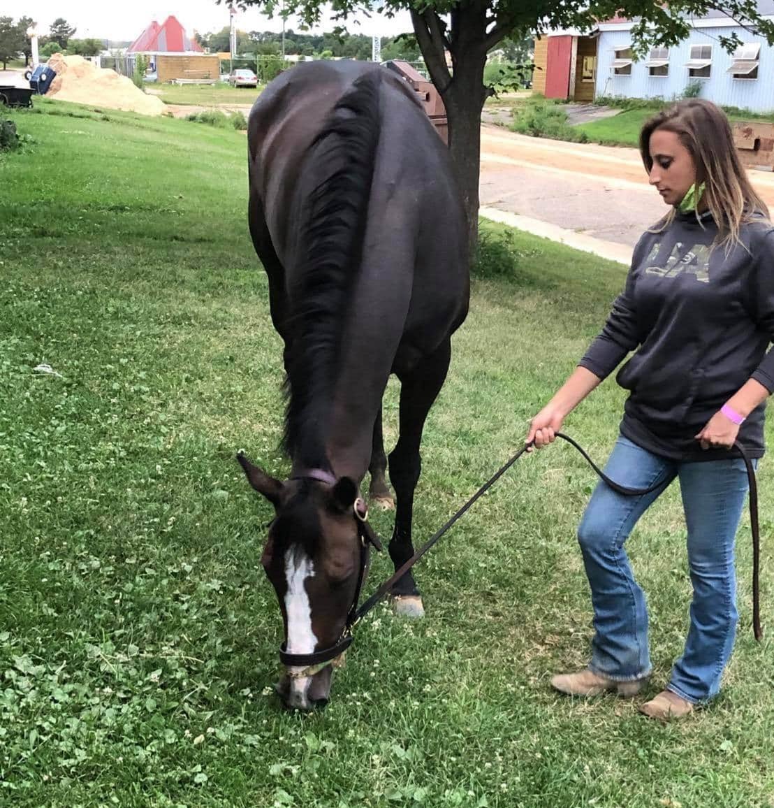 stephanie_herb's tweet photo. We have a new addition to the barn! I'd like to welcome, Right On By, a 6yr old mare by Pleasently Perfect out of Swans Nest, for owner Jon Moore. Excited to start working with this sweet mare &amp; my new client 💚👑🖤 #RightOnBy #HRacing https://t.co/tDaukA1XOW