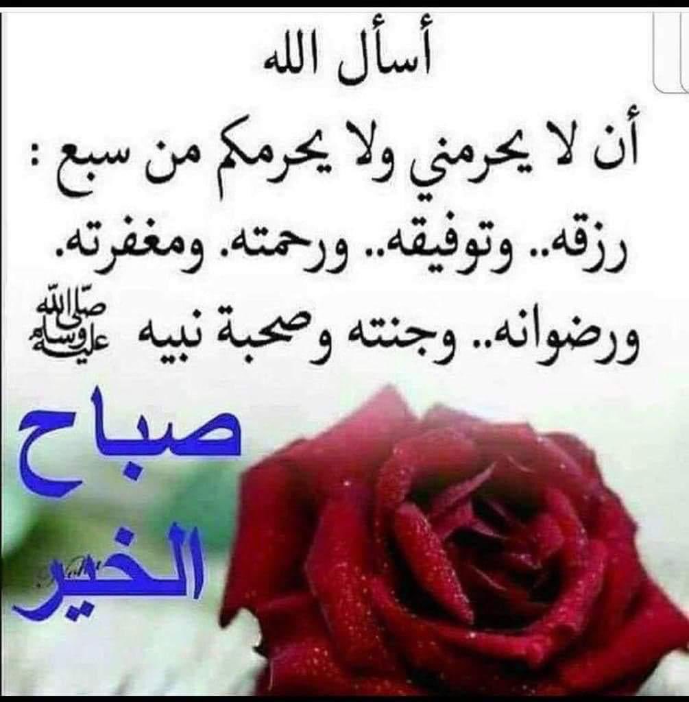 J_ALedeib's tweet photo. صباح الخير🌹🌹 https://t.co/5s8CyrbCQE
