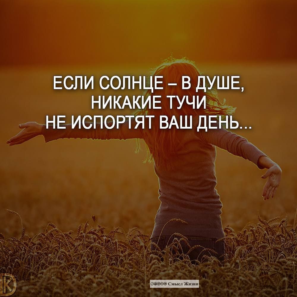 Life15687815's tweet photo. Храните вашу душу солнечной. #смыслжизни #солнце #мудрость https://t.co/CYNtfWA209