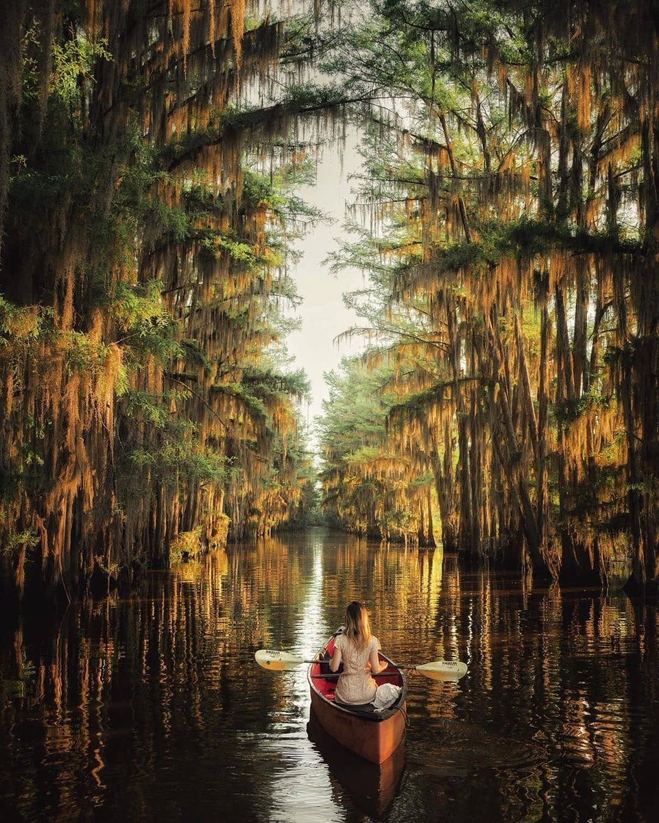 Incredible ❤️😍
.
.
All thanks to @folkgreen for a wonderful Shot 📸 .
.
.
.
#hygge #slowliving #stayhealthy #createscenery #the_folknature #wildernesstones #visualsofearth #wekeepmoments #earthoutdoors #wildernessculture #roamearth #folksouls #modernoutdoors #mthrworld