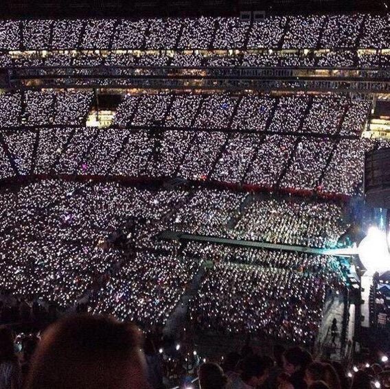 onedirectionguy tweet picture