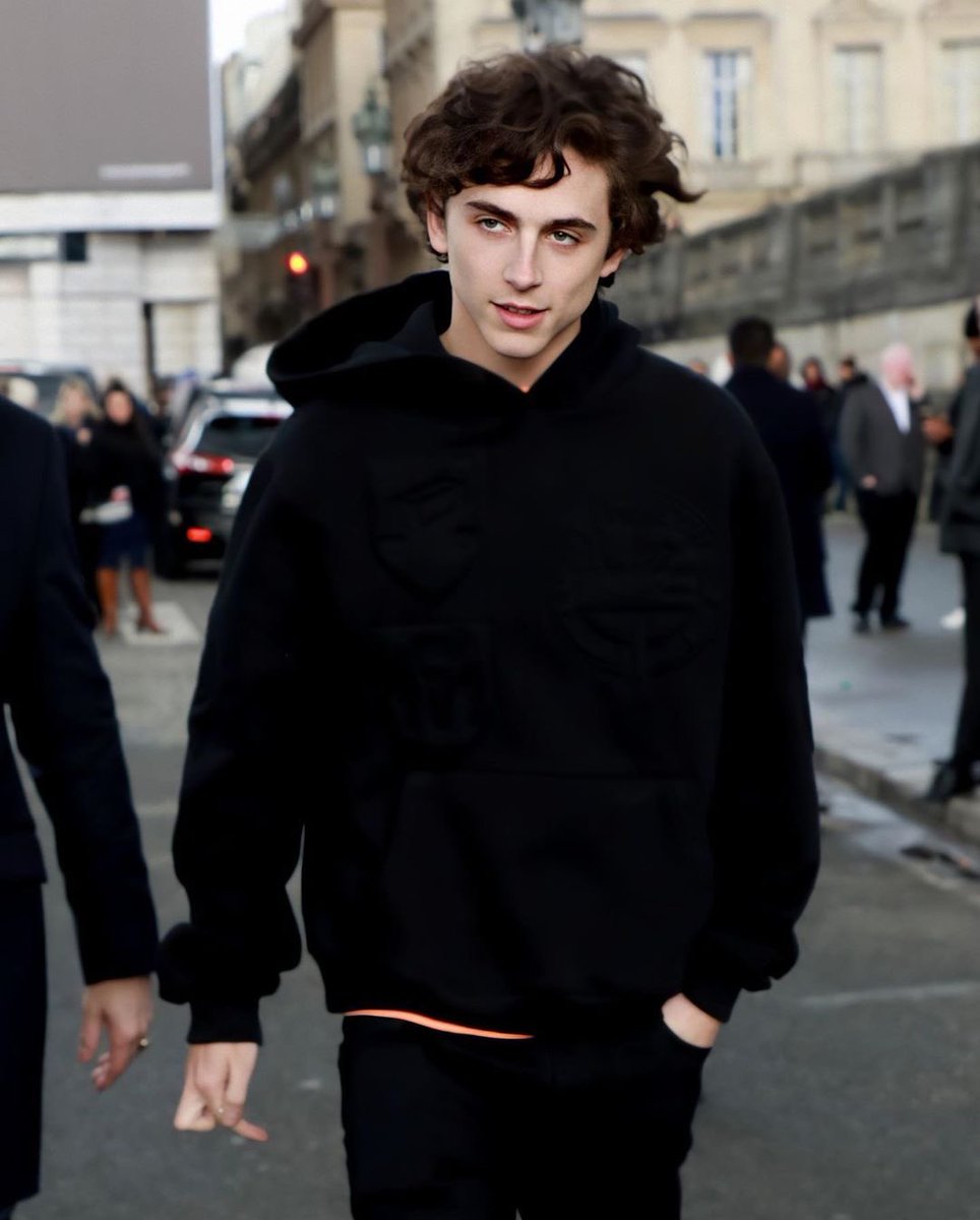 Timothee Chalamet attending the Louis Vuitton Menswear Fall/Winter  2019-2020 show as part of Paris Fashion Week in Paris, France on January  17, 2019. Photo by Jerome Domine/ABACAPRESS.COM Stock Photo - Alamy