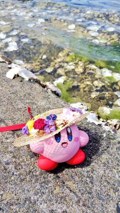#海のカービィ
これしかない 