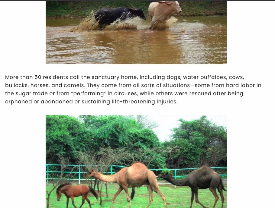 they have provided shelter to 50 animals on their farm ... but have spent more than 3+ crores last year. I do not know if it is worth anything, but still, the number appears to be high because the salary of employees is separately mentioned.