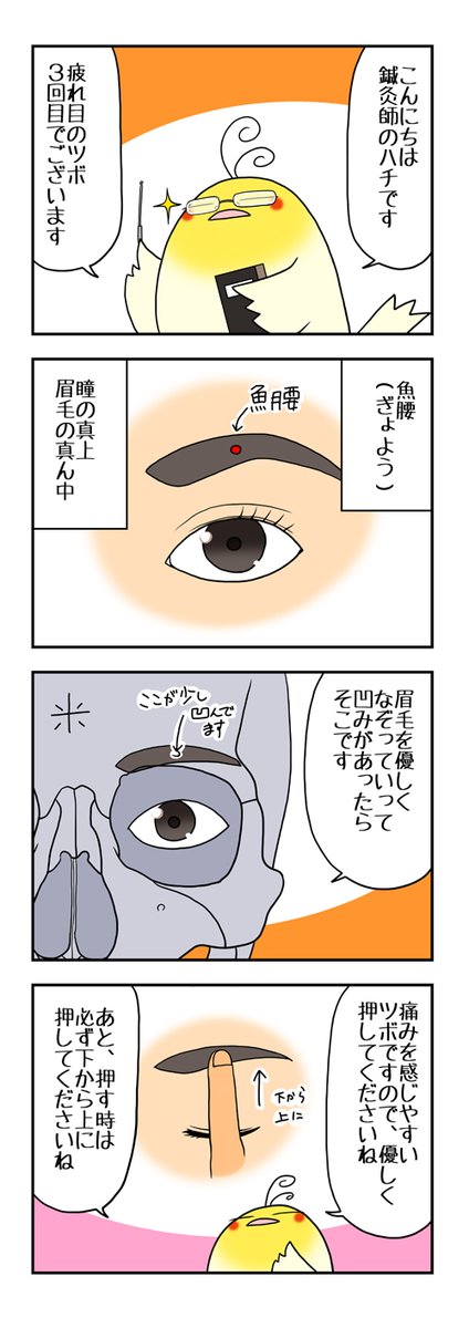 疲れ目のツボ押し第3回です。頭蓋骨が出てきますので、苦手な方はご注意下さい。
学生の時に、頭蓋骨の穴と通るものをゴロで覚えていたのですが、今ではすっかり忘れてます笑
#ツボ押し #疲れ目 #東洋医学 #医道の日本社さん見てたら4コマ載せて下さい