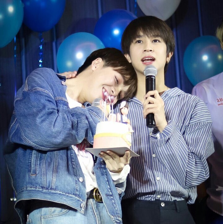 awh look how cute they are 