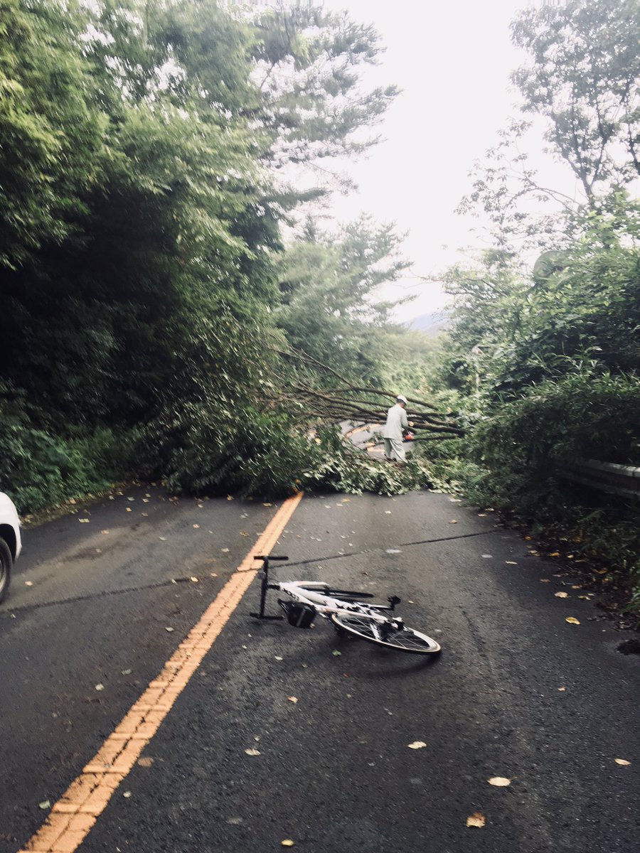 あつし 表筑波スカイライン 朝日峠から最初のダウンヒルで倒木 ブラインドコーナーなのでとても危険です あつし 表筑波スカイライン 朝日峠から最初のダウンヒルで倒木 ブラインドコーナーなのでとても危険です