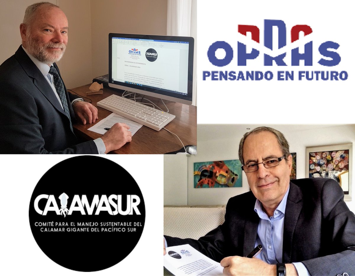 Perupesquero's tweet photo. En defensa y conservación del Calamar o Pota👏🇵🇪
GiganteCALAMASUR y OPRAS suscriben acuerdo de apoyo mutuo

https://t.co/kvzg66CPx2 https://t.co/ob7TxogSVA