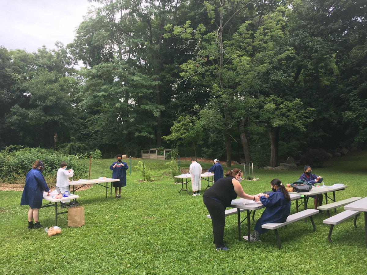 HorizonsatLMS's tweet photo. Horizons students had a fantastic time extracting DNA from strawberries. Thanks Carolyn Duffy and the folks at Cytiva labs for inspiring our budding scientists. They had so much fun working at their outdoor lab. #HorizonsAtHome2020  #Cytiva #IAmLMS https://t.co/r2ykTcMo6M