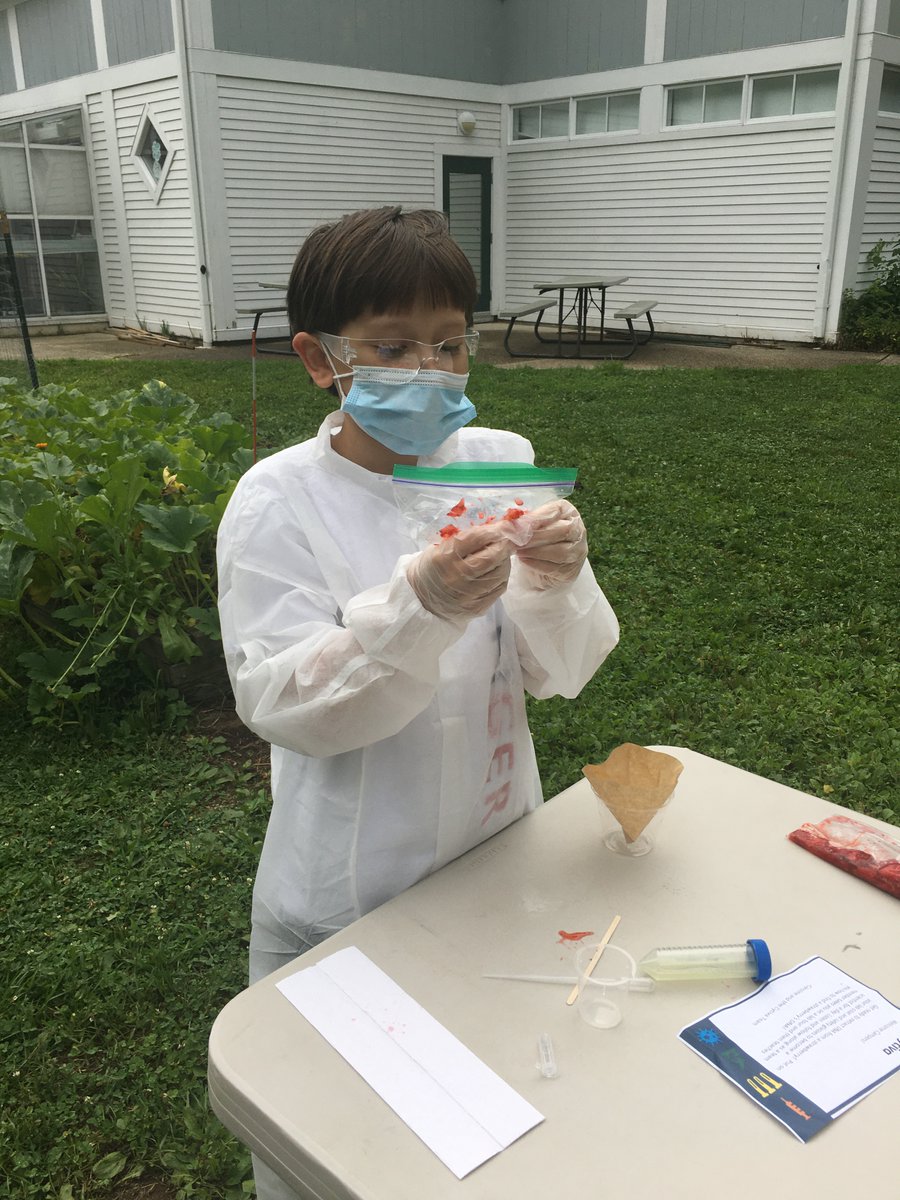 HorizonsatLMS's tweet photo. Horizons students had a fantastic time extracting DNA from strawberries. Thanks Carolyn Duffy and the folks at Cytiva labs for inspiring our budding scientists. They had so much fun working at their outdoor lab. #HorizonsAtHome2020  #Cytiva #IAmLMS https://t.co/r2ykTcMo6M