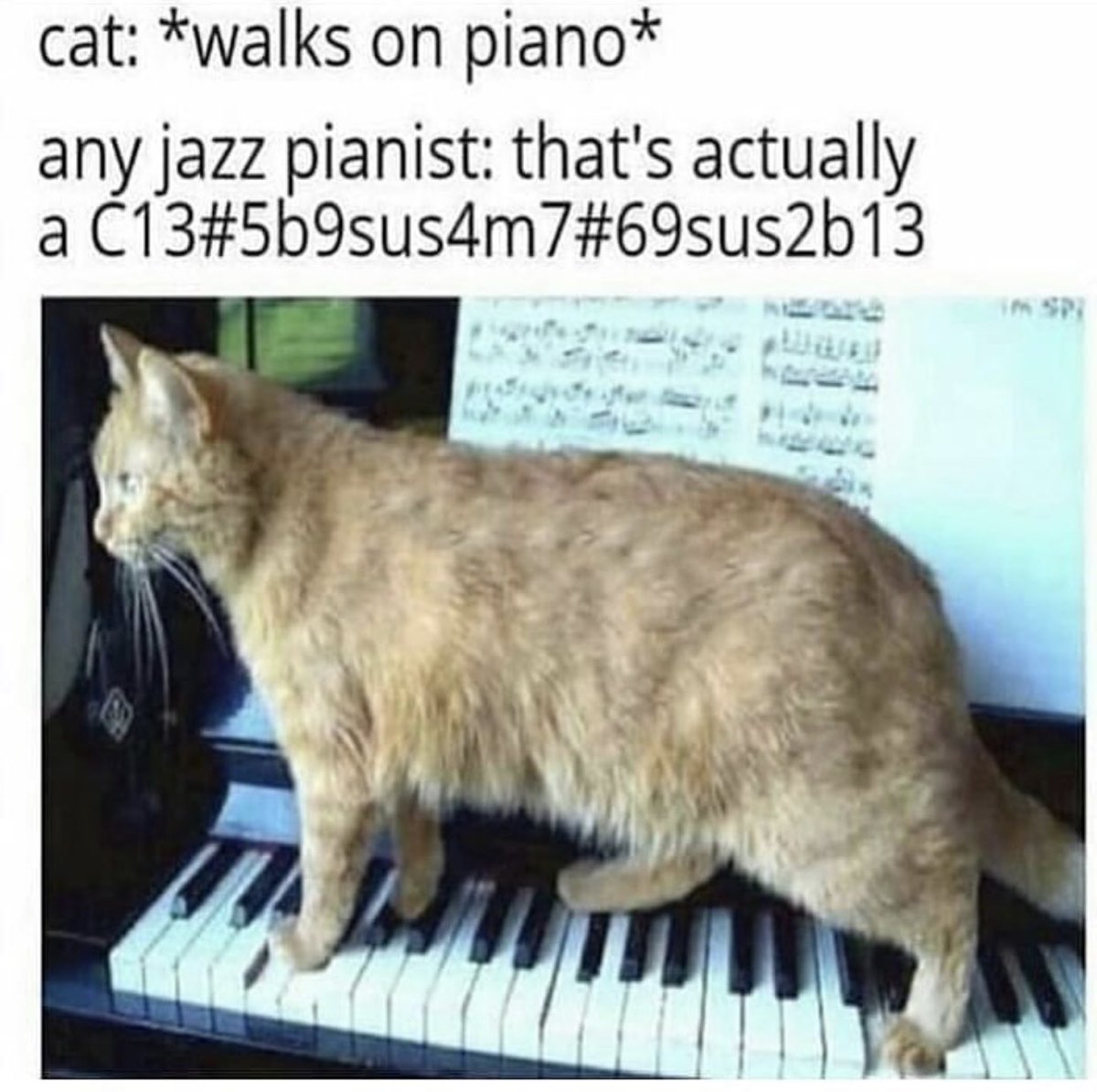 ABBA224's tweet image. I don’t relate but no doubt @charlieputh does. 😂😂
#CharliePuth #MusicalNerd