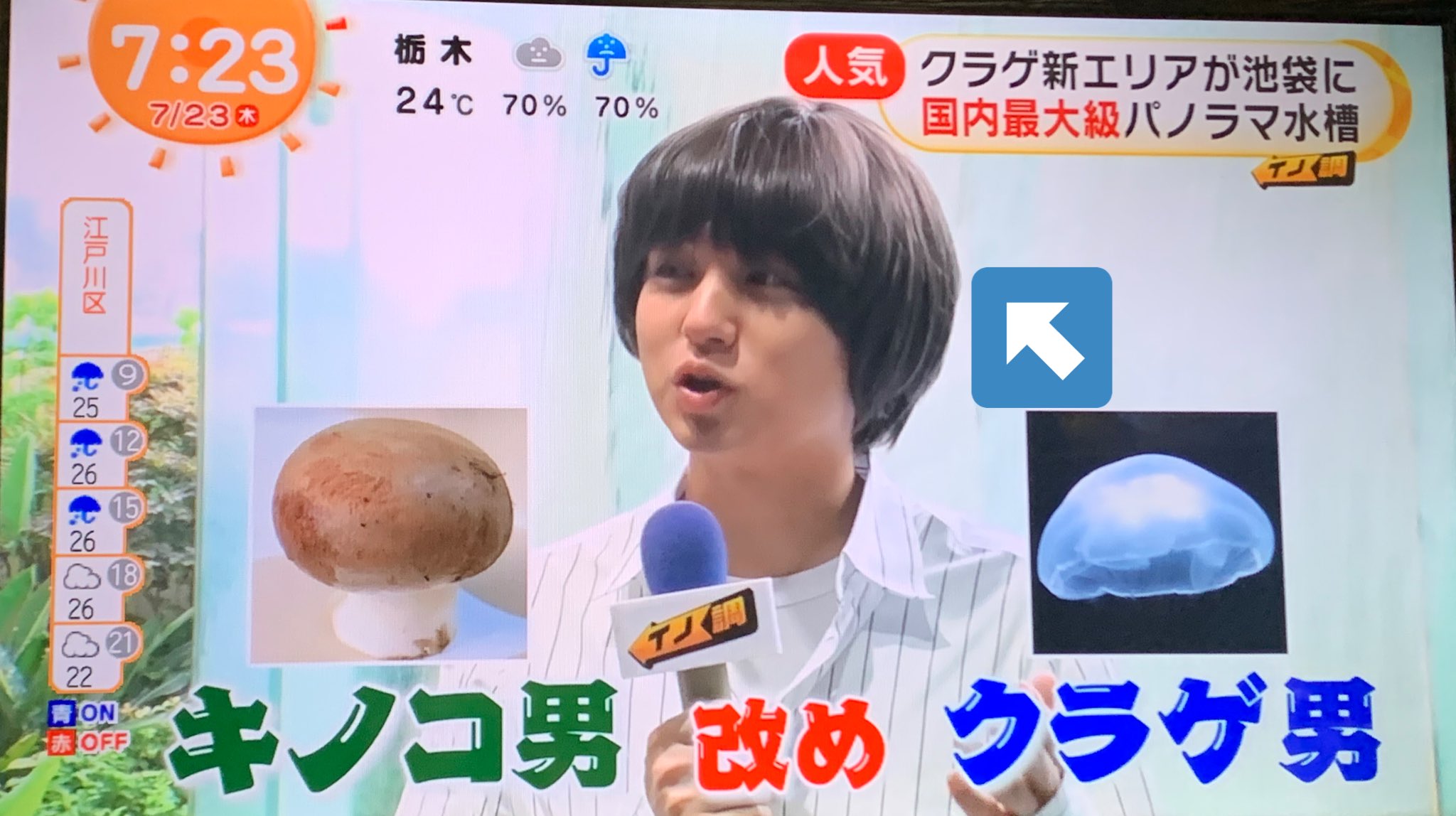 Jump愛してる 薮ちゃんlove キノコ男改めクラゲ男wwwwww 今の伊野尾ちゃんの髪型はクラゲヘアー なんだねw似合ってるよ 伊野尾ちゃん めざましテレビ イノ調 クラゲヘアー T Co 7cbqzvpl7p Twitter