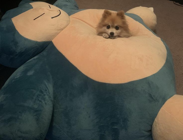 ReviewsPokemon's tweet photo. This image is true peace https://t.co/1vQdVgikrN
