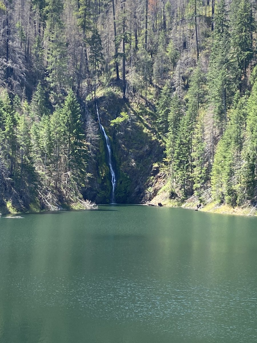 IharrisonIris's tweet photo. 46 years ago, I found this special spot off the McKenzie Highway, near Cougar  Reservoir and there were hot springs above this lake off to the side.  It’s all still there and now it’s being taken care of by a private company.   Still beautiful. https://t.co/a9cC0LUy8k