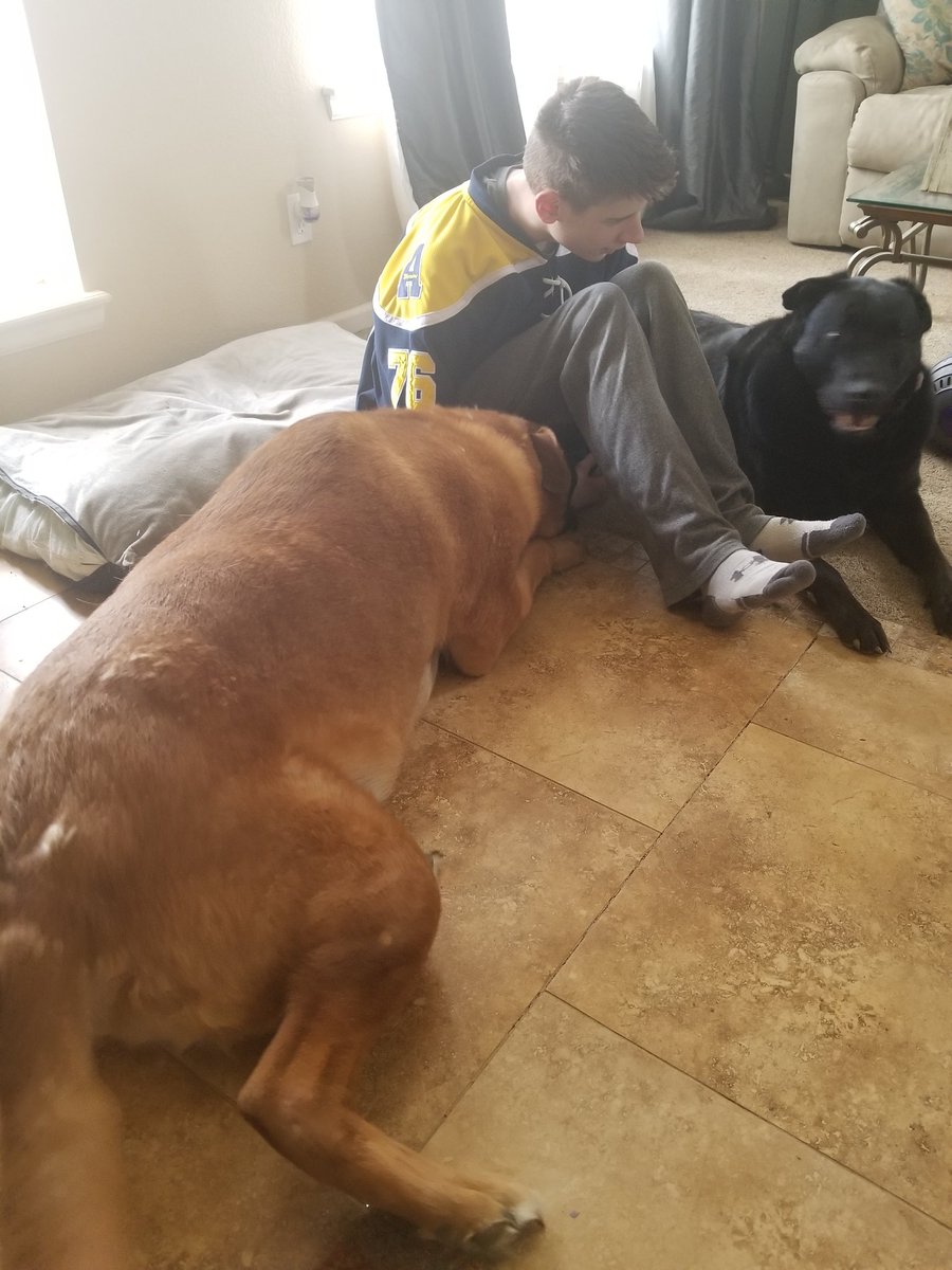 ErinElkaim's tweet photo. @Avalanche This is Moose on the left and Colt on the right!!! #GoAvsGo https://t.co/D68dYJ5FJw
